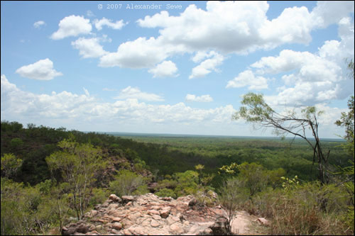 Litchfield national park