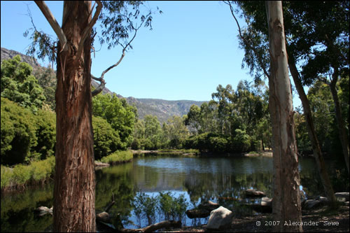 Australian lake,trees and mountain