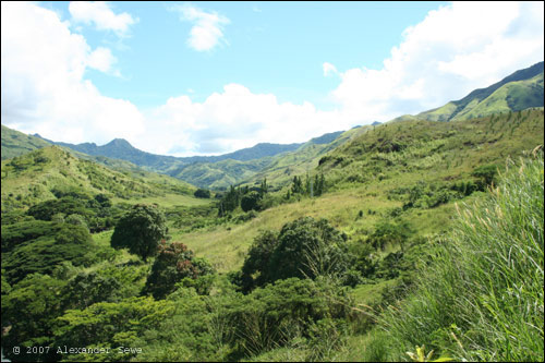 Fiji nature