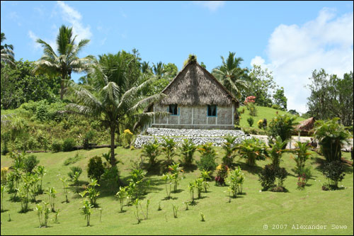 Fiji hut surrounded by palm trees