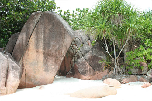 Anze lazio Praslin